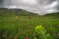 image-slider-with-thumbnail2.jpeg